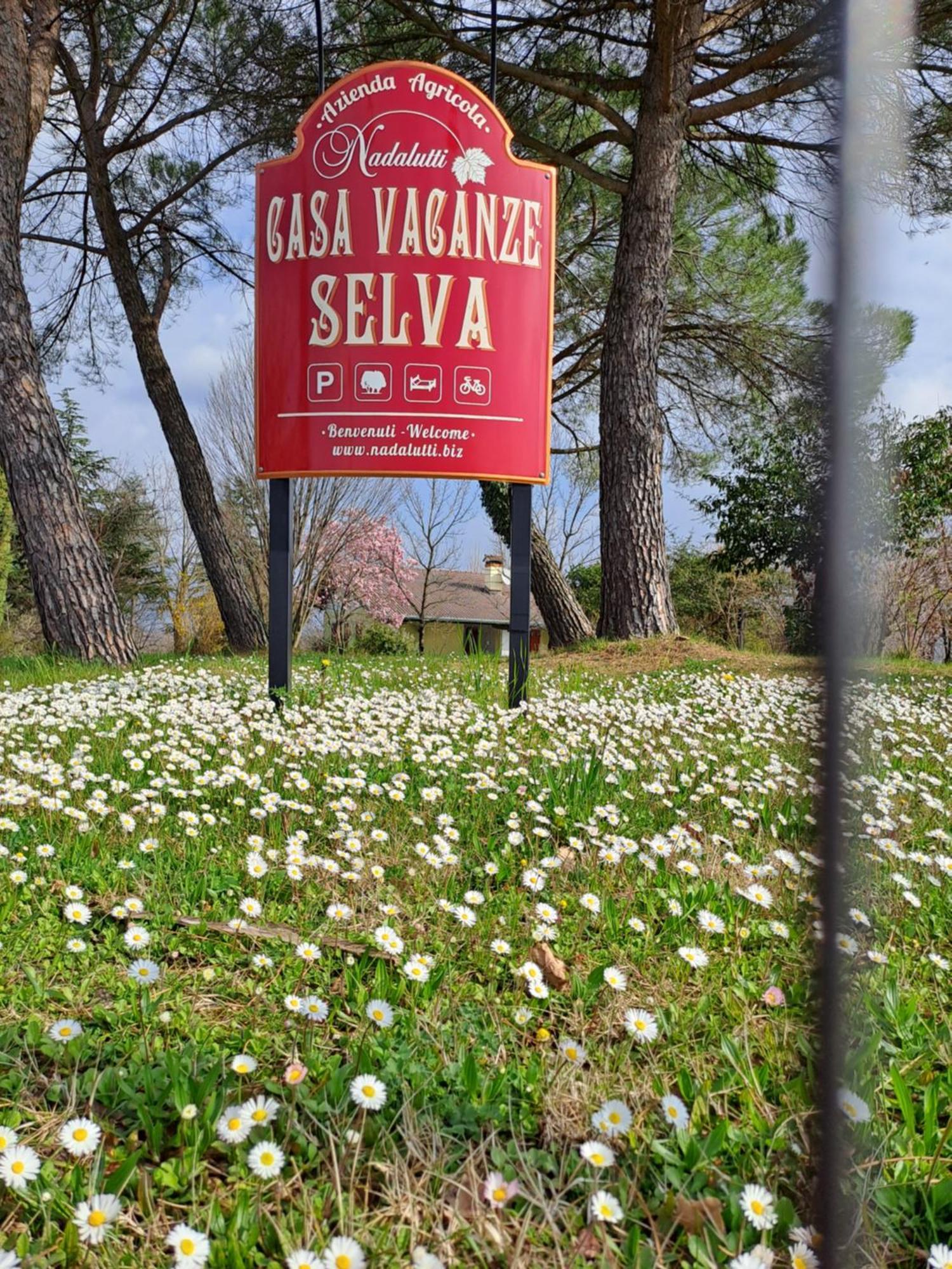Casa Vacanze Selva Premariacco Zewnętrze zdjęcie